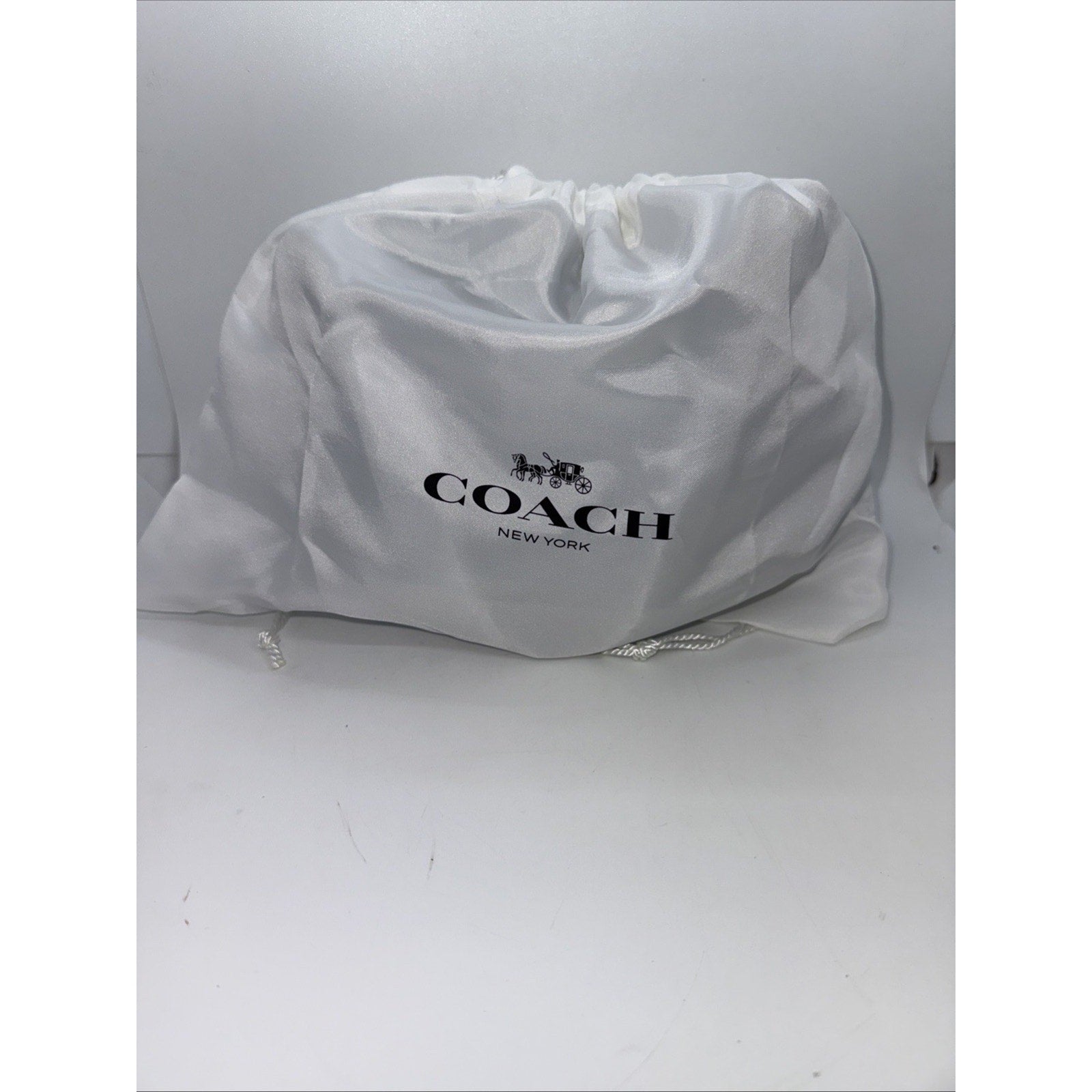 Coach Women's Zoe Shoulder Bag CAM18 Bluebell